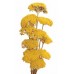 YARROW Natural 22"  -OUT OF STOCK